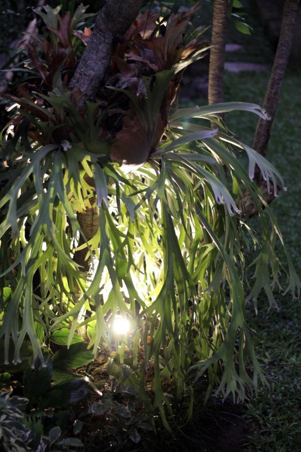 Sari House Ubud - Balinese Style Homestay المظهر الخارجي الصورة